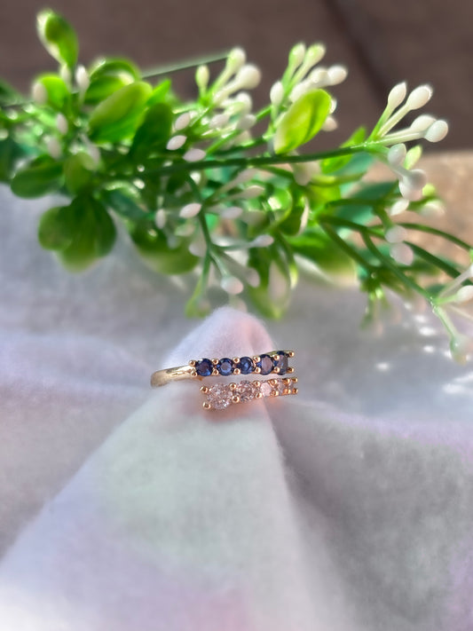 Anillo Ajustable Piscis