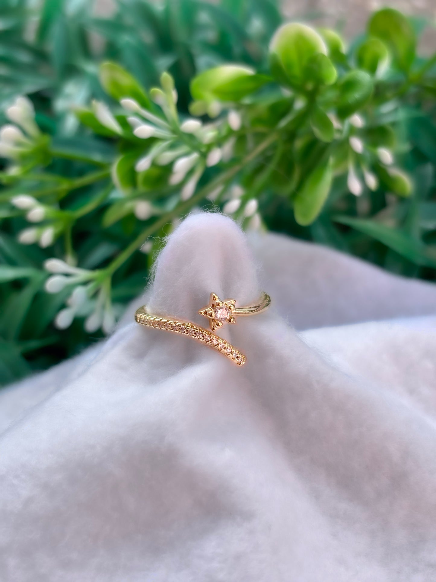 Anillo Ajustable Acuario