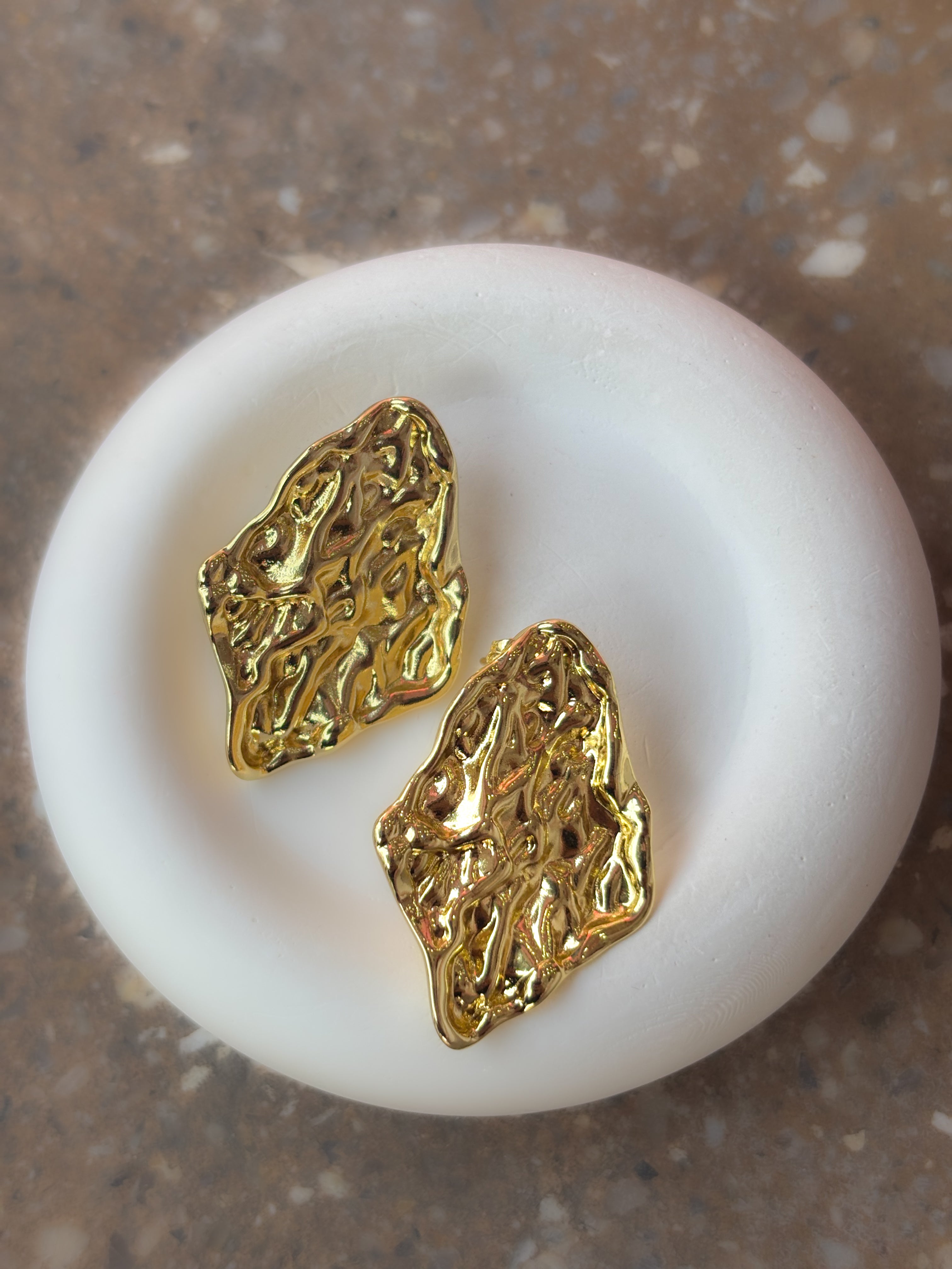 Aretes Dried Mango
