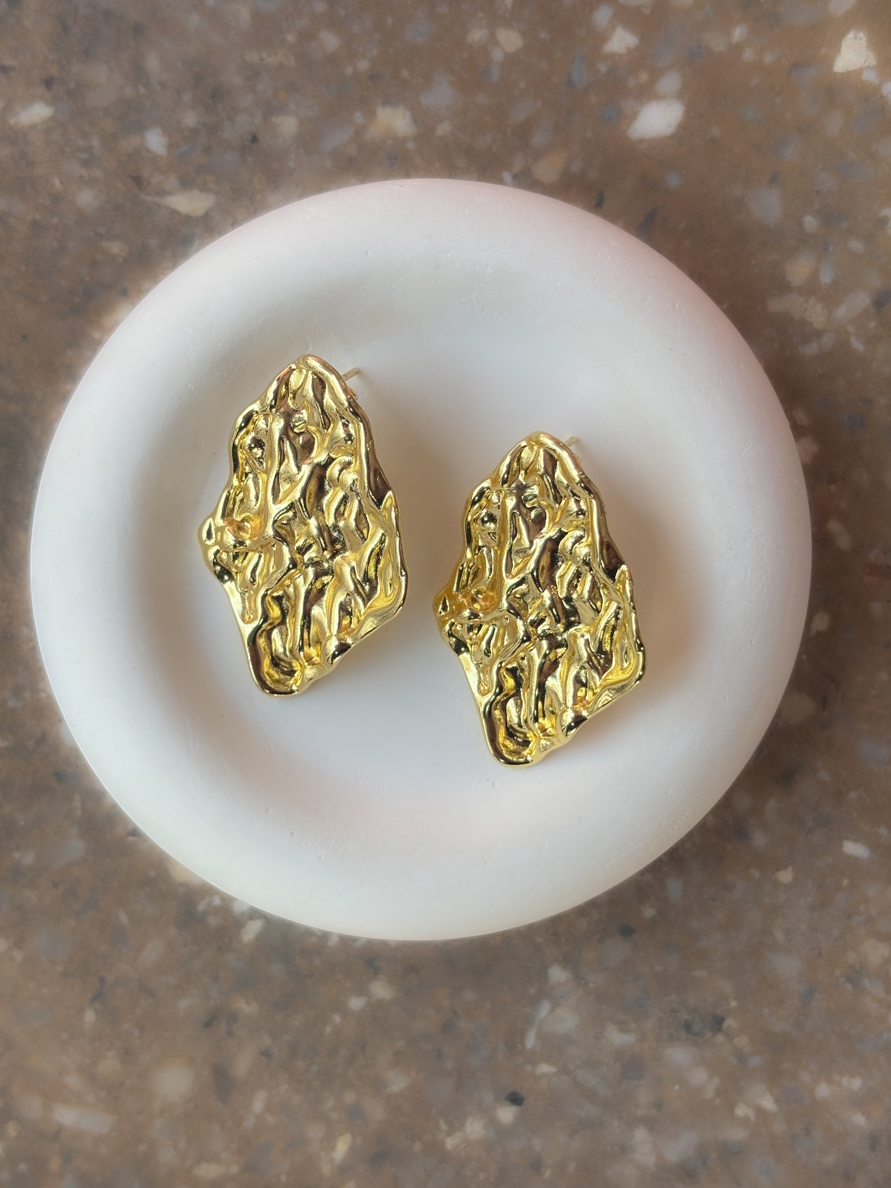 Aretes Dried Mango