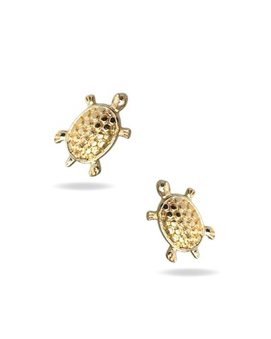 Broqueles Tortuga